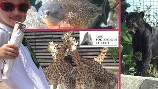 VLOG • Un Animal Une Blague au Zoo de Vincennes partie 2  Studio Bubble Tea vlogging Paris Zoo [upl. by Haikan]