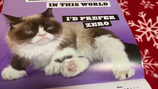 Grumpy Cat Calendar Sarcastically [upl. by Basil44]