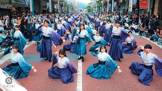 【8K】早稲田大学 東京花火『天つかさ』（湘南よさこい2024  Tokyo Hanabi 2024 “Amatsukasa”） [upl. by Heidy]