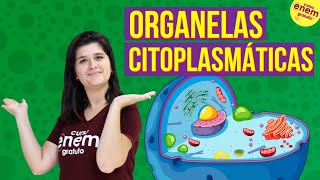 ORGANELAS CITOPLASMÁTICAS CITOLOGIA  Resumo de Biologia para o Enem [upl. by Darooge]