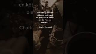 Charles Bukowski [upl. by Qulllon]