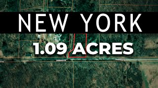 Land for Sale 109 Acres in NY [upl. by Jolenta]