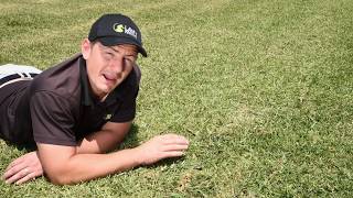 How to remove invading grass varieties from your lawn [upl. by Enedan31]