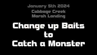 Change up Baits to Catch a Monster How to [upl. by Yumuk]