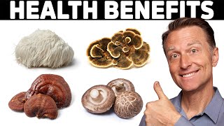 The MindBlowing Benefits of 4 Mushrooms [upl. by Ajtak359]