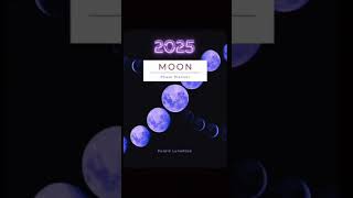 2025 Astrology amp Moon CalendarPlanner shorts entrepreneur astrology [upl. by Woo460]