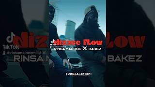 Rinsamalone ft bakez dizzee flow out soon [upl. by Eilahs]