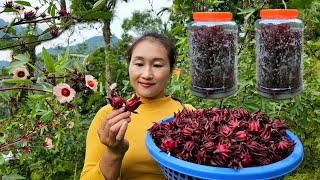 Harvesting artichokes for sale at the market  Preserving artichokes year round  Ly Thi Tam [upl. by Keyte]