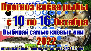 Прогноз клева рыбы на Эту неделю с 10 по 16 Октября Календарь рыбака на неделю Лунный прогноз клева [upl. by Shepp]