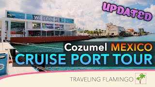 UPDATED What to do in Cozumel Cozumel Cruise Port Tour [upl. by Kinemod]