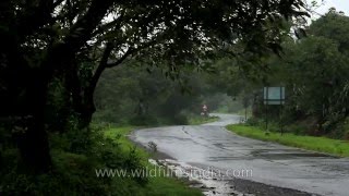 Road to Satara from Mahabaleshwar [upl. by Natsyrt]