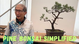 Pine Bonsai Simplified [upl. by Jump15]