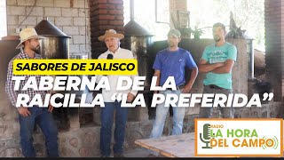 Descubriendo la Raicilla Artesanal con los Hermanos Topete en quotLa Preferidaquot Mixtlán Jalisco [upl. by Melton]