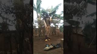 bijiyobija comedy funnyimages funny nyabingi funnymemes duet nyabinghi funnypictures [upl. by Publus]