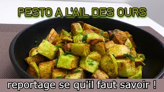 Recette du pesto dail des ours  reportage [upl. by Bertrando123]