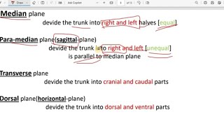 الفرقة الاولي تشريح المحااضرة الاولي ج4 Anatomy lecture 1 P4 [upl. by Lirva893]