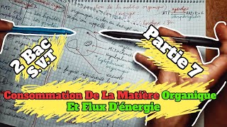 🔥🔥 Consommation De La Matière Organique Et Flux dénergie 🔻 Partie 7 🔻 2 Bac BIOF SVT 🔻1èr chapitre🔻 [upl. by Torrell]