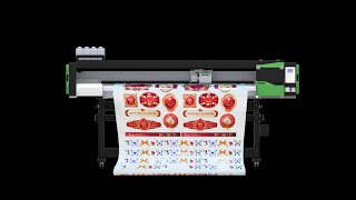 signstech printer cutter demo DX5 2in1 [upl. by Mera476]