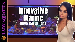 Aquarium Intro Innovative Marine Nuvo 150 Gallons Display  Saltwater Reef Tank [upl. by Joellen152]