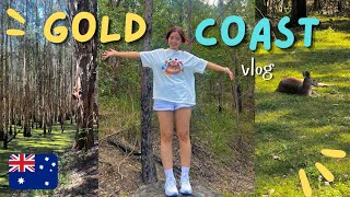 gold coast day trips ☀️ │australia vlog [upl. by Galasyn]