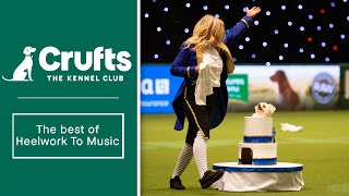 The Best of Heelwork to Music at Crufts [upl. by Anawait814]