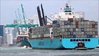 Maersk Damietta container ship [upl. by Alah]