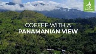 Coffee with a Panamanian View [upl. by Ahsykal414]