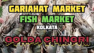 Prawn Fish💥 I Fish market kolkata [upl. by Vilberg]