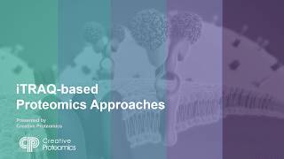 Proteomics Quantification iTRAQ [upl. by Ammej131]