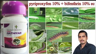 pyriproxyfen 10  bifenthrin 10 ecpyriproxyfen 10  bifenthrin 10 ec in hindibifenthrin 10 telugu [upl. by Erl]