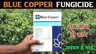 Blue Copper Fungicide use in hindi  एक साथ दो काम करता हे  Copper oxychloride fungicide [upl. by Fillander]