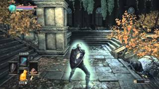 DARK SOULS 3 Cestus  Caestus Moveset [upl. by Hanus]