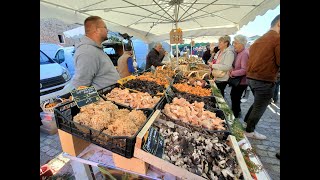 Foire aux champignons 2024 à SaintBonnetleFroid [upl. by Kirimia]