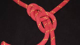 How To Tie A Yosemite Bowline [upl. by Aneala981]