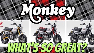 9 Reasons Why People Love The Honda Monkey [upl. by Davey682]