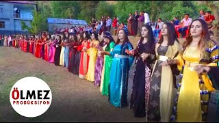 Büyük bir Kürt Aşireti Düğünü Qeşuran Aşireti Şırnak kurdish wedding [upl. by Chrissa969]