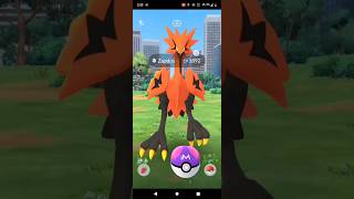 Finally I got Galarian Zapdos From Daily Incense in Pokemon go  Galarian Zapdos inpokemongo [upl. by Nivets393]