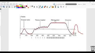 consommation de la matière organique et flux de lénergie PCN2017 exercice [upl. by Arac]