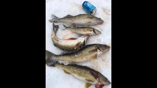 Ice Fishing Lake Gogebic Walleyes 2018 [upl. by Morse]