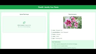 Build an AI Plant Identifier App in Minutes  NoCode UI  Cursor  Google AI Studio  UrduHindi [upl. by Eidoow708]