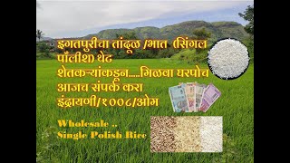 इगतपुरी इंद्रायणी भात थेट शेतकरी ते ग्राहकWholesale Indrayani rice from farmer [upl. by Ecitnerp]