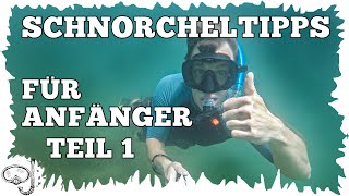 10 Schnorcheltipps für Anfänger  Teil 1  Schnorcheln lernen [upl. by Devine]