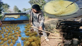 Traditional Jaggery Making Complete Process  Gur Making in Punjab  JaggeryGur Making Step by Step [upl. by Maribel]