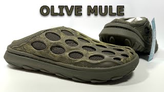 2023 Merrell Hydro Mule 1TRL Olive Review [upl. by Pickard701]