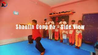 Shaolin Kungfu Training ⛩ Shaolin Gong Fa 🤛 shaolin kungfu india martialarts viralvideo video [upl. by Yenitsed]