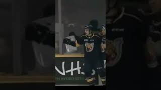 Riley Patterson First OHL Goal  Barrie Colts ohl [upl. by Kippar800]