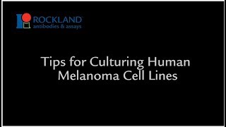 Tips for Culturing Human Melanoma Cell Lines [upl. by Constanta]