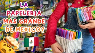 VISITE LA PAPELERÍA MÁS GRANDE DE MÉXICO 🤑📚🖍️✂️  Study with Sol [upl. by Hahnke]