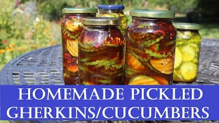 Pickled Gherkins  Cucumbers Homemade amp Homegrown [upl. by Cassidy416]