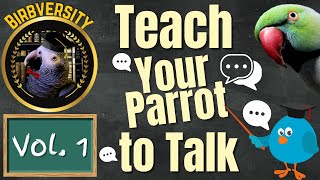 Birbversity Vol 1 Teach Your Parrot To Talk  Parrot Town TV for Your Bird Room [upl. by Foulk]